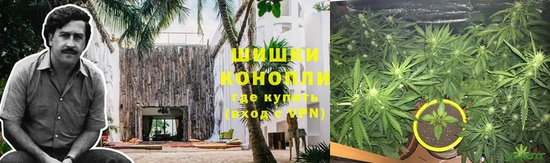 магазин продажи наркотиков  Биробиджан  МАРИХУАНА SATIVA & INDICA 